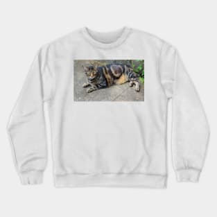 This Is My Spot Crewneck Sweatshirt